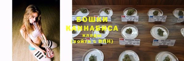 индика Покачи