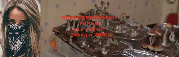 ALPHA PVP Арсеньев