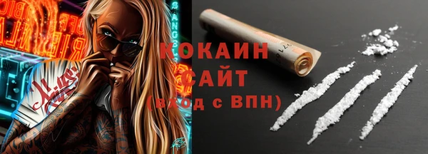 индика Покачи
