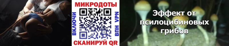 Галлюциногенные грибы Magic Shrooms  купить закладку  Приморско-Ахтарск 